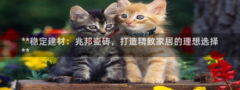 杏鑫平台招商怎么样啊