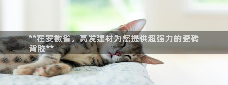 杏鑫官方平台怎么样