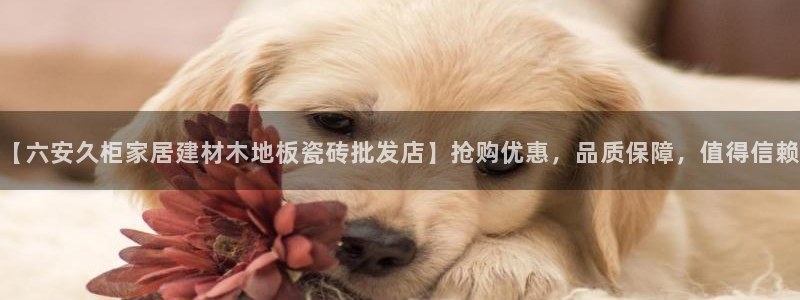 杏鑫娱乐是真的吗知乎