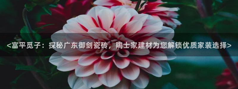 杏鑫娱乐官方网站客户端下载