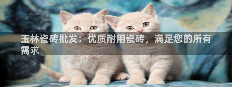 杏鑫官网最新信息新闻