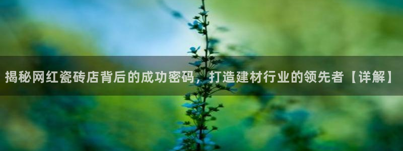 杏鑫有亏损返点吗