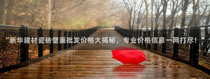 杏鑫娱乐开发团队
