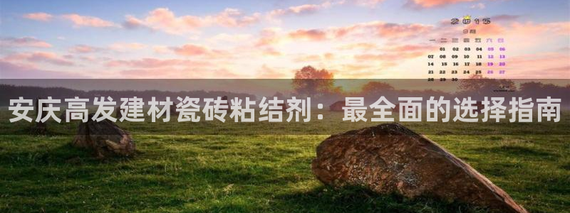 杏鑫主管
