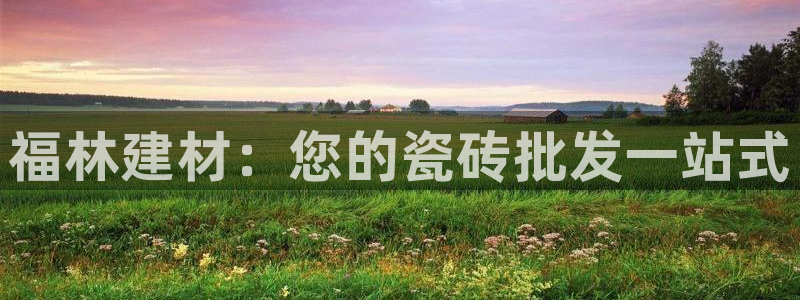 杏鑫主管