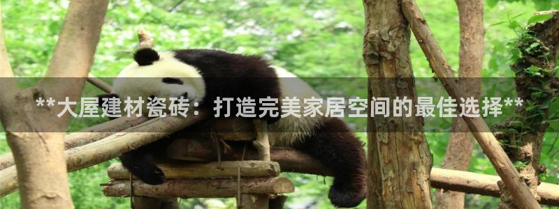 杏鑫平台直属